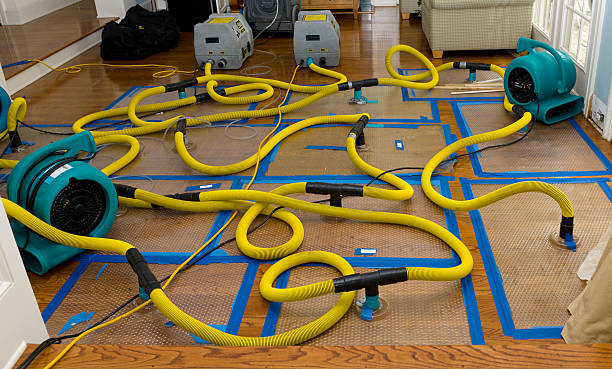 Professional Basement Flood Cleanup technician working in Olivia, NC