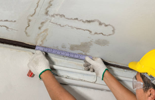 Affordable Water Damage Repair solutions in Olivia, NC